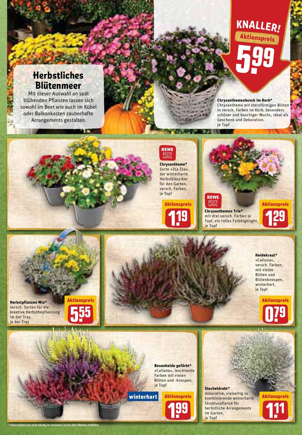 Rewe Prospekt Angebote ab 07.10.2019 bis 12.10.2019 Seite 5